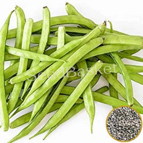 Beans