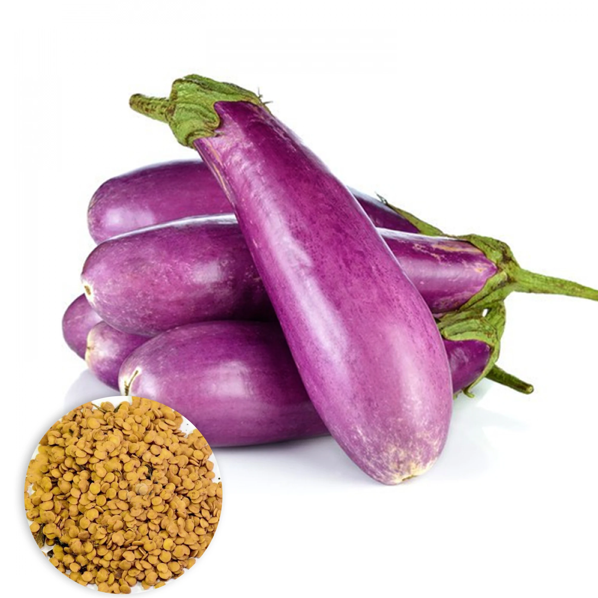 Brinjal