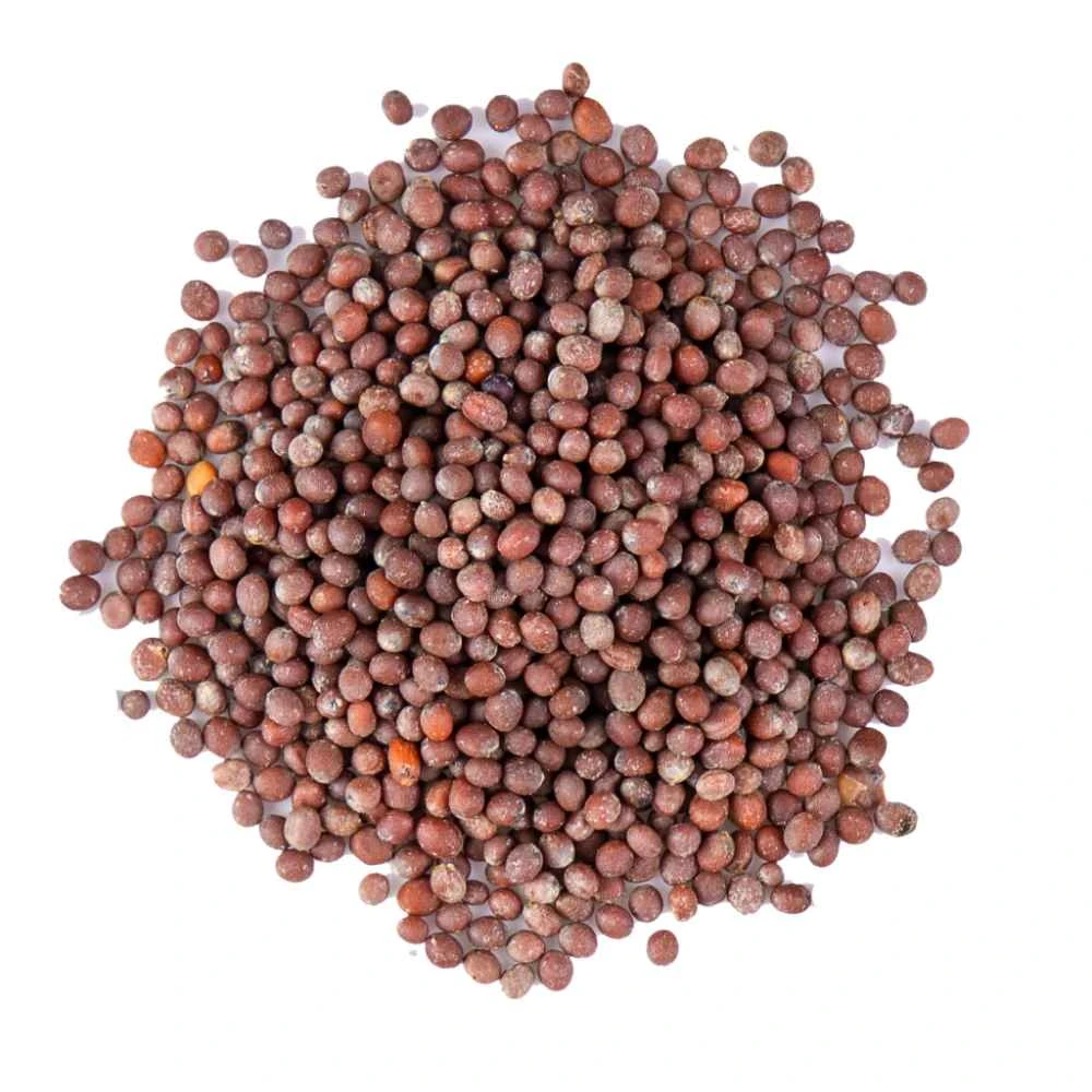 Brown Mustard Seeds