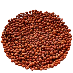 Red Gram