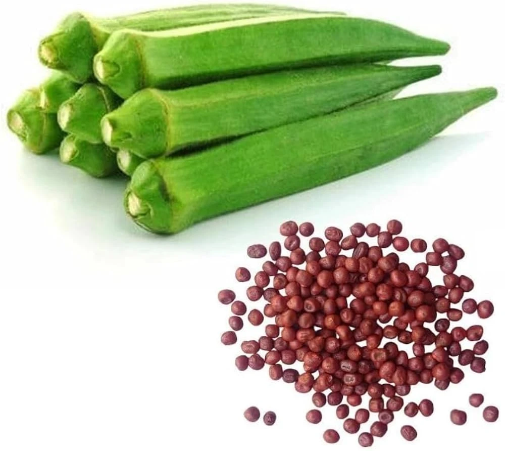Lady finger Seeds